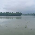 টানা বৃষ্টিতে চট্টগ্রামসহ ২১ জেলায় ৭২ হাজার হেক্টর জমির ফসল নিমজ্জিত