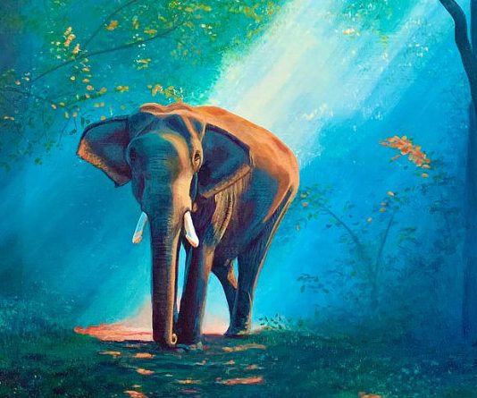 হাতি ও চামচিকা