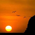 পবিত্র আশুরা আজ