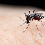 একদিনে আরও ৩১৭ জনের ডেঙ্গু শনাক্ত