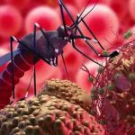 চট্টগ্রামে শনাক্ত হলো জিকা ভাইরাস, স্বাস্থ্য বিভাগের কী খবর