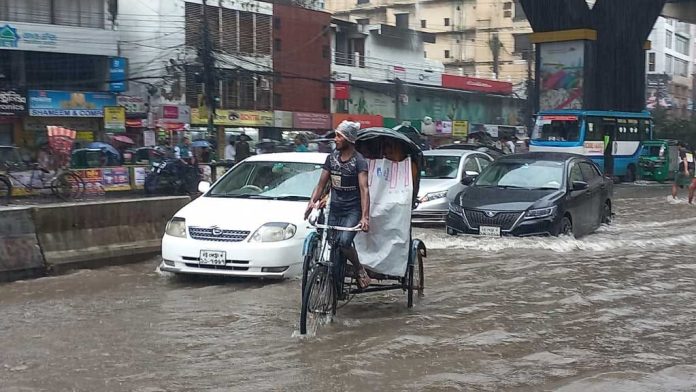 wmremove-transformed (1)