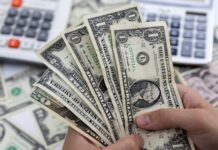 ১২ দিনে এলো ১২ হাজার কোটি টাকার রেমিট্যান্স