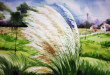 ফারহার শরৎ ভ্রমণ