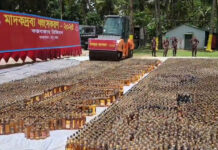 কক্সবাজারে ১ হাজার ৩২১ কোটি টাকার মাদকদ্রব্য ধ্বংস