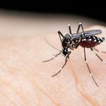ডেঙ্গুতে আরও ৩ জনের মৃত্যু
