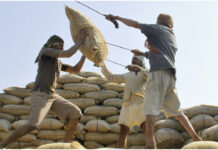 বাংলাদেশের শুল্কমুক্ত আমদানির ঘোষণায় ভারতে চালের দাম বৃদ্ধি