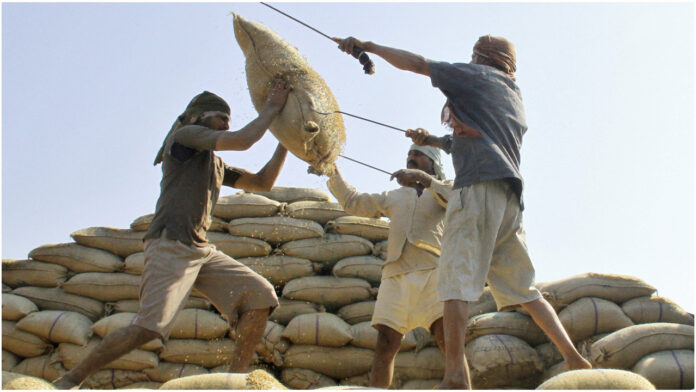 indian-rice-20250816151932