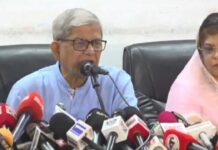 গণতান্ত্রিক উত্তরণের রোডম্যাপের জন্য অপেক্ষা করছি : মির্জা ফখরুল