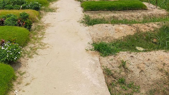 rayerbazar-20250804134639