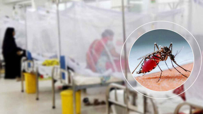 03-dengue-202501052107001-20250906163931