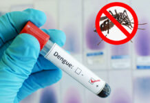 ডেঙ্গু রোগীদের চিকিৎসায় স্বাস্থ্য অধিদপ্তরের নতুন নির্দেশনা