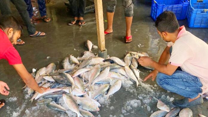 image_110703_1723359143 copy