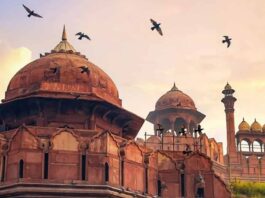 দিল্লির বিষাক্ত বাতাসে কালো হয়ে যাচ্ছে ঐতিহাসিক লালকেল্লা !