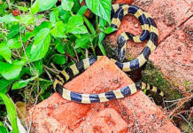 চিকিৎসার সুযোগ ও গবেষণা বাড়াতে হবে