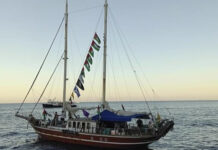 ফ্লোটিলার শেষ জাহাজটিও আটকে দিলো ইসরায়েলি সেনারা