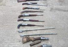 রাউজানে র্যাবের অভিযান : বিপুল অস্ত্র উদ্ধার, আটক ২