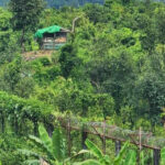 উখিয়া ও নাইক্ষ্যংছড়ি সীমান্ত এলাকায় থেমে থেমে ভেসে আসছে গুলির শব্দ, এলাকায় আতঙ্ক