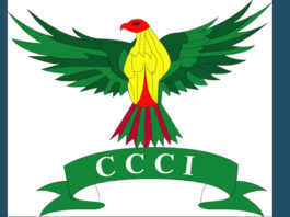 চট্টগ্রাম চেম্বারে বিনা প্রতিদ্বন্দ্বিতায় নির্বাচিত হচ্ছেন না ৬ পরিচালক