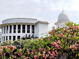 তত্ত্বাবধায়ক সরকার ফেরাতে আপিলের ৫ম দিনের শুনানি চলছে