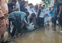 সড়কে মাছের পোনা ছেড়ে হাসনাত আবদুল্লাহর প্রতিবাদ