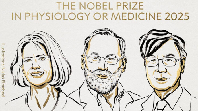 nobel-20251006155057