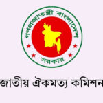 জুলাই সনদের অঙ্গীকারনামার পঞ্চম দফা সংশোধন করা হয়েছে : আলী রীয়াজ