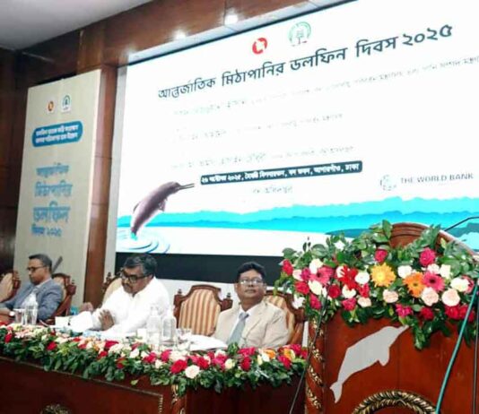 নদী দূষণে হুমকিতে ডলফিন, বিপদে মানুষও : পরিবেশ উপদেষ্টার সতর্কতা