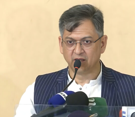 ঐকমত্য কমিশন ও সরকারের বিভিন্ন কর্মকাণ্ডে বিএনপি হতাশ : সালাহউদ্দিন