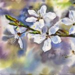 ছড়া ও কবিতা