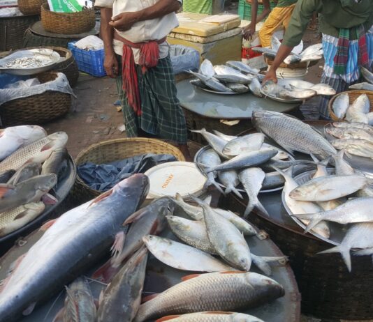 সরবরাহ বাড়লেও মাছের বাজার অস্থির