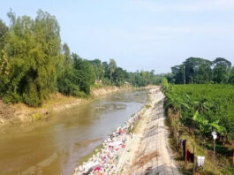পাউবোর সম্পত্তি রক্ষায় কঠোর পদক্ষেপ নিন
