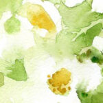 ছড়া ও কবিতা