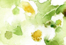 ছড়া ও কবিতা