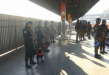 সেনাবাহিনীর অভিযানে চালের বস্তায় পিস্তল-ককটেলসহ আটক ৪