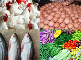 কমছে ডিম ও মুরগীর দাম : সবজি, মাছ, মুদিপণ্যের দাম চড়া