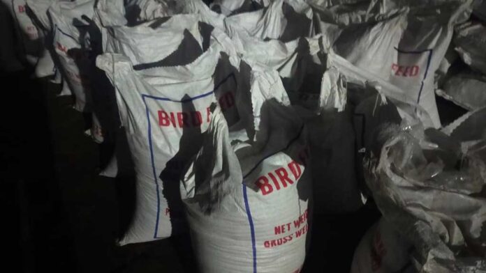 ctg-cus-popyseed-06112025-02-1762431025