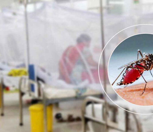 ডেঙ্গুতে ২৪ ঘণ্টায় ১০ জনের মৃত্যু, হাসপাতালে ভর্তি ১০৬৯