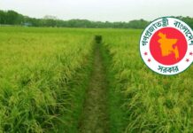 কৃষিজমি বাণিজ্যিক আবাসন বা অকৃষিকাজে ব্যবহারে পেতে হবে শাস্তি