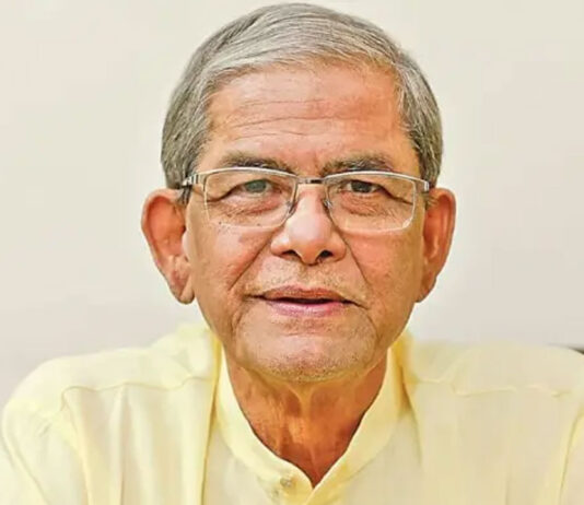 এটাই আমার শেষ নির্বাচন : মির্জা ফখরুল