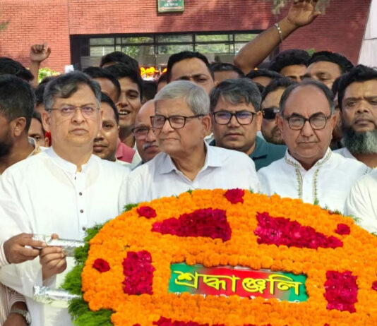 ৭ নভেম্বর ছিল বাংলাদেশের প্রগতির টার্নিং পয়েন্ট : মির্জা ফখরুল