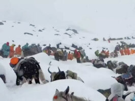 টানা বর্ষণ-তুষারপাত : নেপালে এভারেস্টের পাদদেশে আটকা কয়েক শ’ পর্যটক