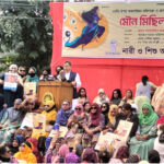 ধর্মের নামে রাজনীতির ব্যবসা করা একটি দলের হাতে নারীরা নির্যাতিত হচ্ছে : সালাহউদ্দিন আহমদ