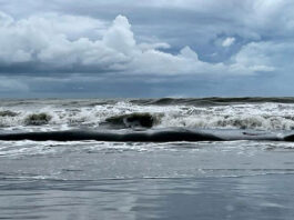 ধেয়ে আসছে ঘূর্ণিঝড় ‘ডিটওয়াহ’, মাছ ধরা ট্রলারকে উপকূলে থাকার নির্দেশ