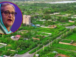 প্লট বরাদ্দে দুর্নীতি : পরিবারসহ হাসিনার মামলার রায় ১ ডিসেম্বর