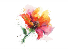 ছড়া ও কবিতা