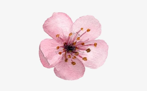 399d0753a370c41bbc6522a97df11f70 copy