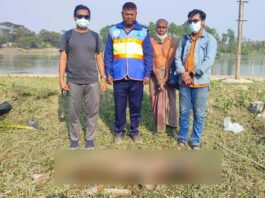 হালদায় দুই মণ ওজনের মরা ডলফিন