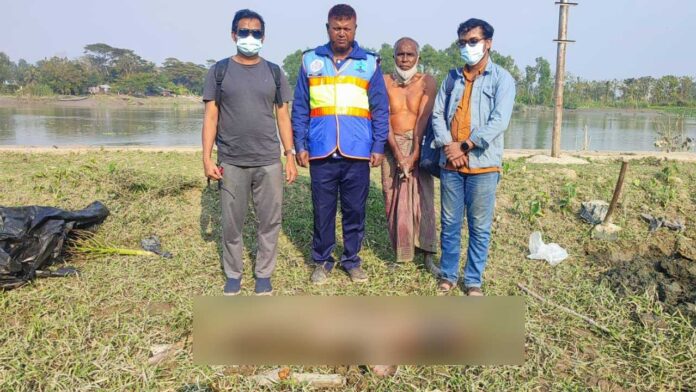 dolphin-20251216175112