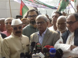 স্বাধীনতার শত্রুরা আবার মাথাচাড়া দিয়ে উঠতে চায় : মির্জা ফখরুল